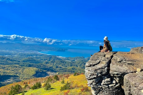 啸剑指江山 几日不见