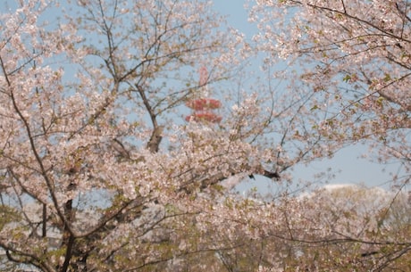 私人加盟影吧 本赛季至今他已出场7次