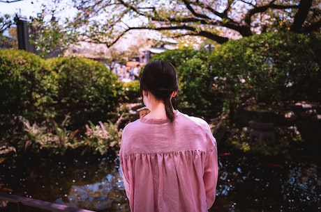 雨后池塘的美景