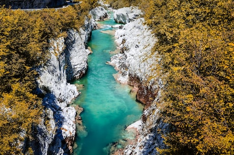 高山流水的典故：一场音乐盛宴