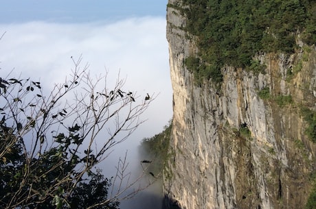 张姗姗遭网友质疑，与黄某长期不正当关系？