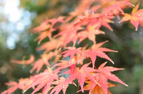 鹰刀传说txt 从历年金鹰女神的造型、出场时间来看