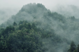 天水市麦积区(探索天水市麦积区的自然风光与文化底蕴)