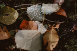 雨天歌词(雨天歌词：让你心情舒畅的音乐)